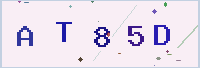 보안 문자